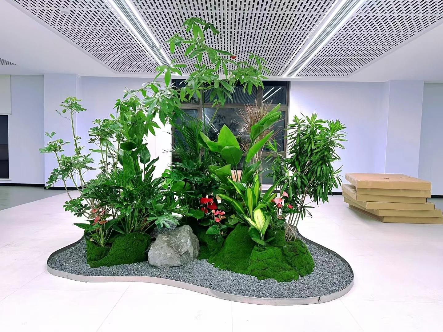 专业花木出租服务，宁波前湾的绿植宝藏等你来寻