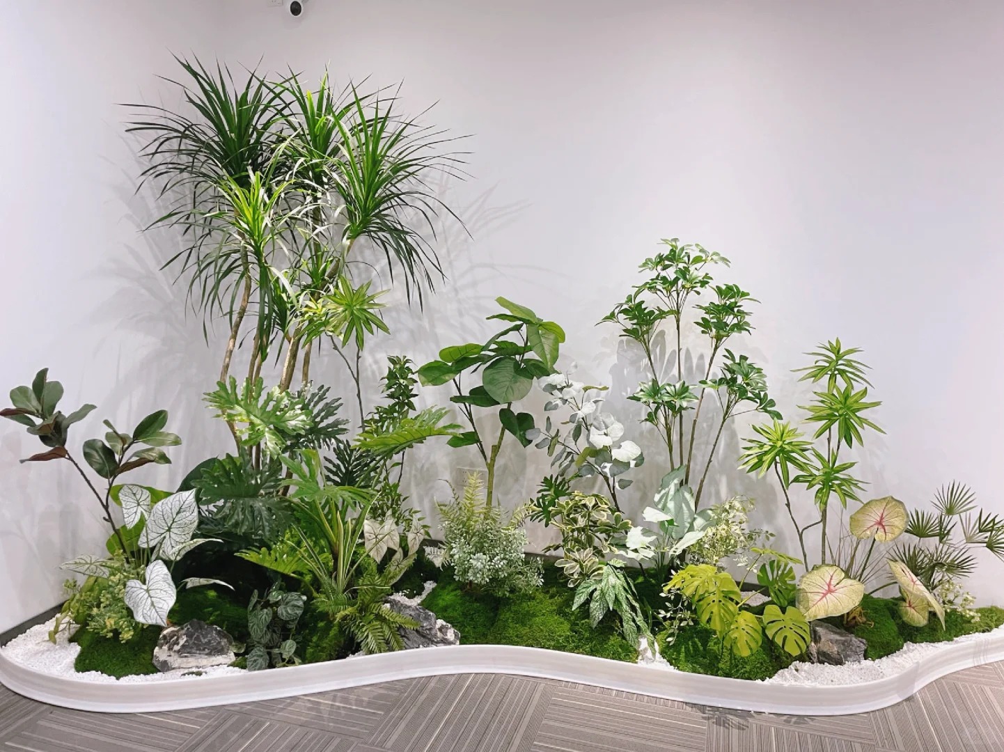 专业花木出租服务，宁波前湾的绿植宝藏等你来寻